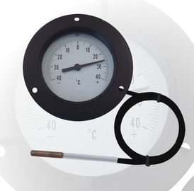 الصين مقياس الحرارة الشعرية البلاستيكية المزود